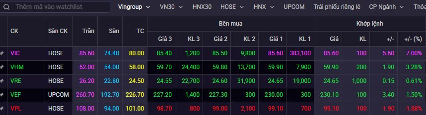 Cổ phiếu Vingroup tăng kịch trần ngày khởi công siêu dự án 20.000 tỷ đồng- Ảnh 3.