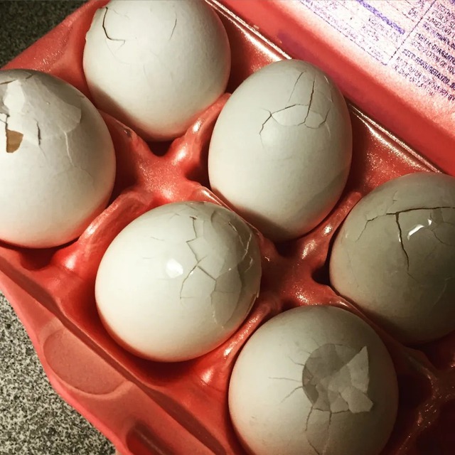 6 loại trứng đã không bổ béo còn “phá hủy” nội tạng, mê mấy cũng phải nhịn- Ảnh 2.