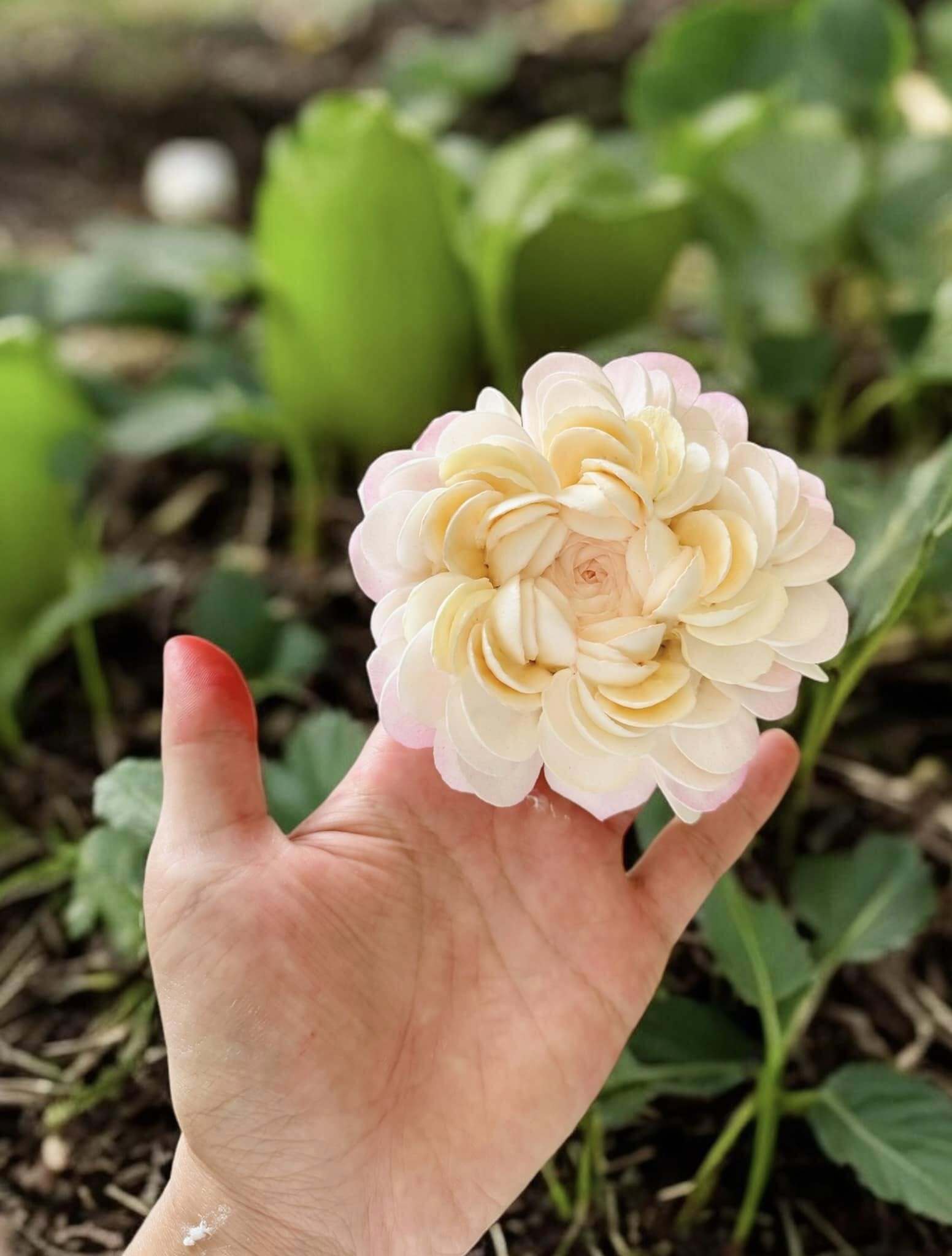 Chàng trai TP.HCM làm hoa bằng kem 'thật còn hơn cả hoa thật'- Ảnh 22.