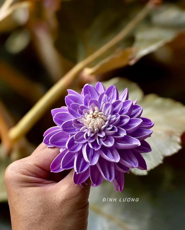 Chàng trai TP.HCM làm hoa bằng kem 'thật còn hơn cả hoa thật'- Ảnh 20.