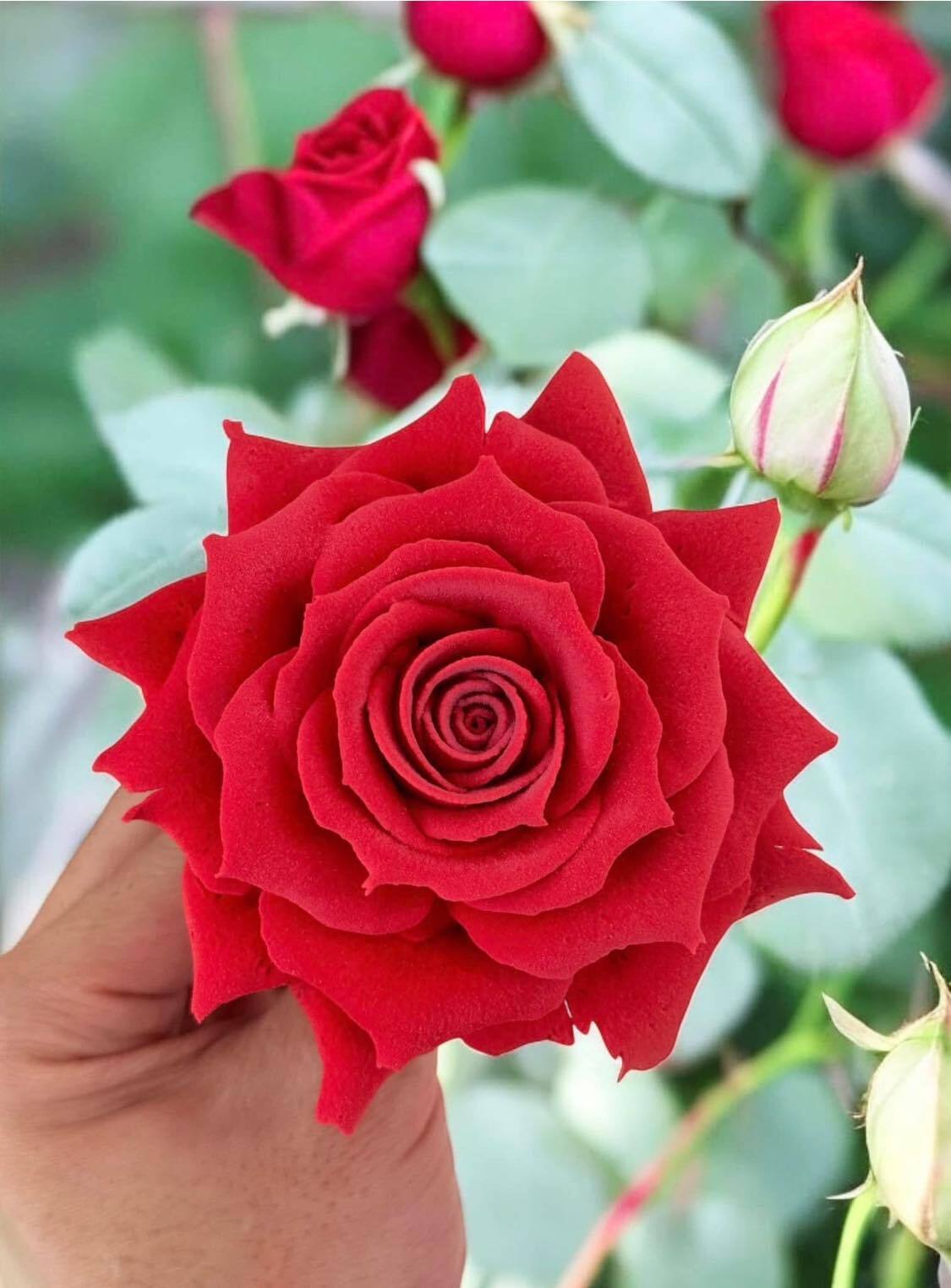 Chàng trai TP.HCM làm hoa bằng kem 'thật còn hơn cả hoa thật'- Ảnh 13.