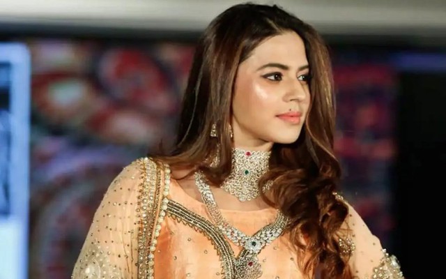 Tịch thu 14kg vàng trên người nữ diễn viên nổi tiếng- Ảnh 2.