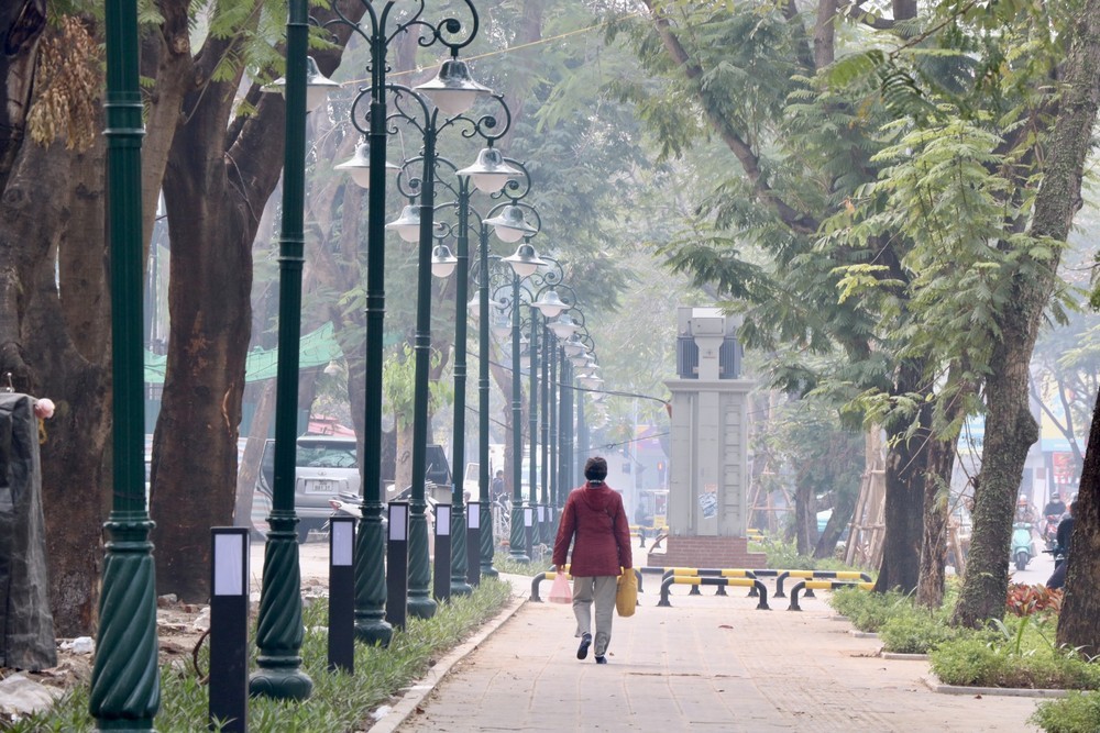 Cận cảnh 3.800m2 đất nông nghiệp sắp bị thu hồi để mở rộng công viên Tuổi trẻ Thủ đô- Ảnh 9.