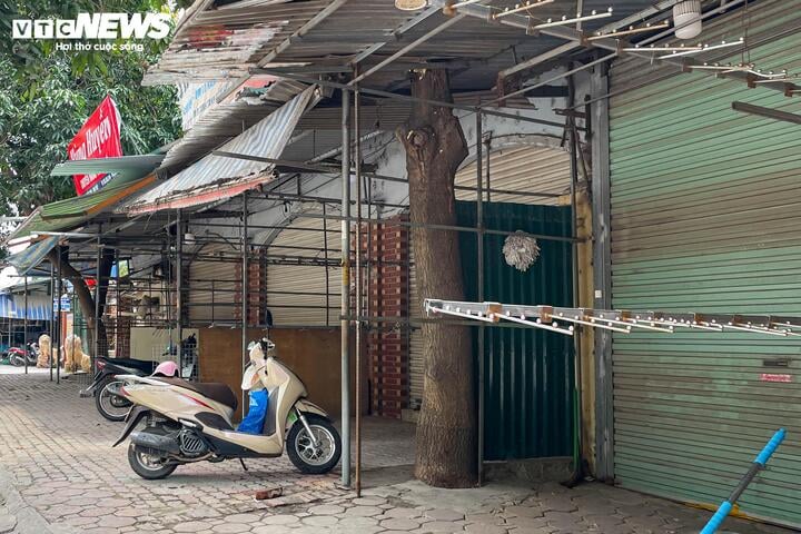 Quầy hàng đua nhau đóng cửa, 'thiên đường vải' Ninh Hiệp vắng lặng khác thường- Ảnh 13.
