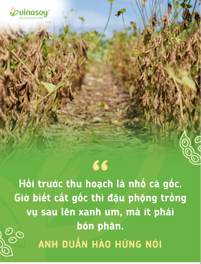 Chuyện người giữ sức khỏe cho đất- Ảnh 4. Chuyện người giữ sức khỏe cho đất- Ảnh 4.