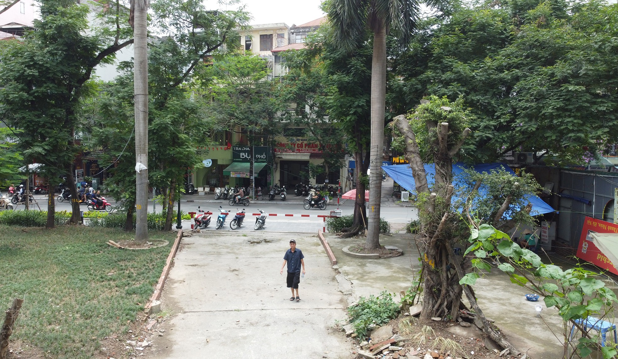 Cận cảnh 3.800m2 đất nông nghiệp sắp bị thu hồi để mở rộng công viên Tuổi trẻ Thủ đô- Ảnh 11.