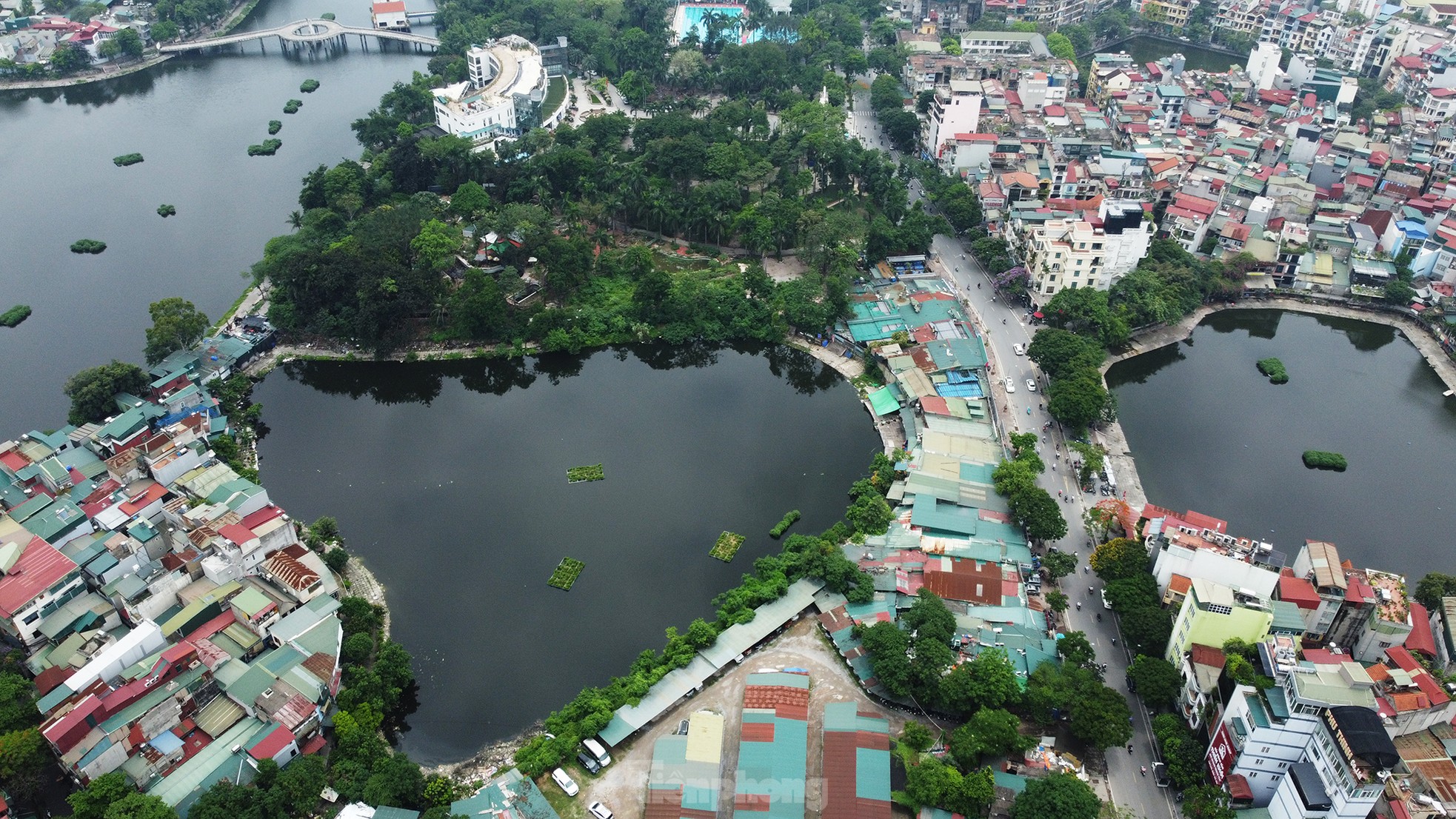 Cận cảnh 3.800m2 đất nông nghiệp sắp bị thu hồi để mở rộng công viên Tuổi trẻ Thủ đô- Ảnh 5.