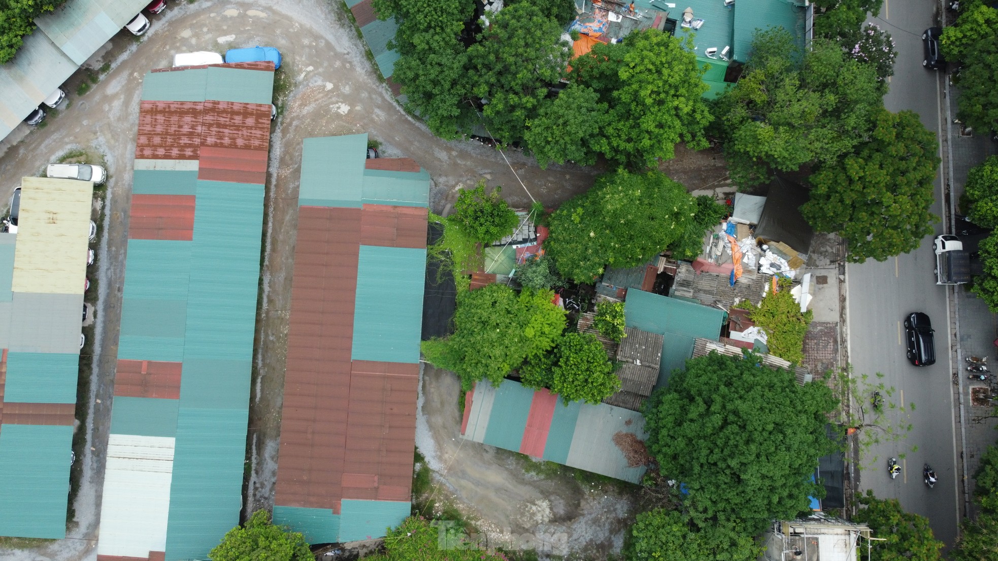 Cận cảnh 3.800m2 đất nông nghiệp sắp bị thu hồi để mở rộng công viên Tuổi trẻ Thủ đô- Ảnh 4.