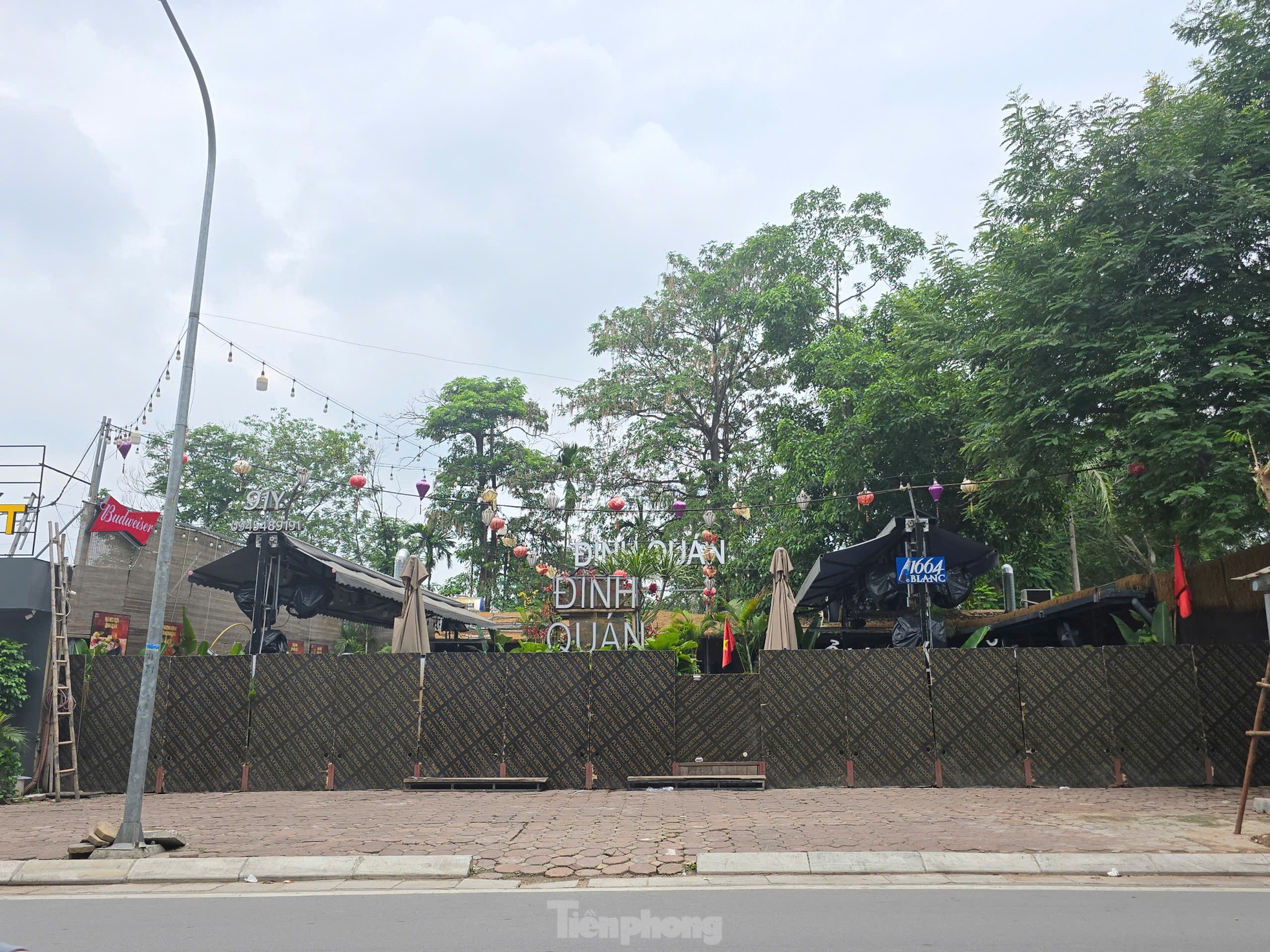Cận cảnh 3.800m2 đất nông nghiệp sắp bị thu hồi để mở rộng công viên Tuổi trẻ Thủ đô- Ảnh 10.