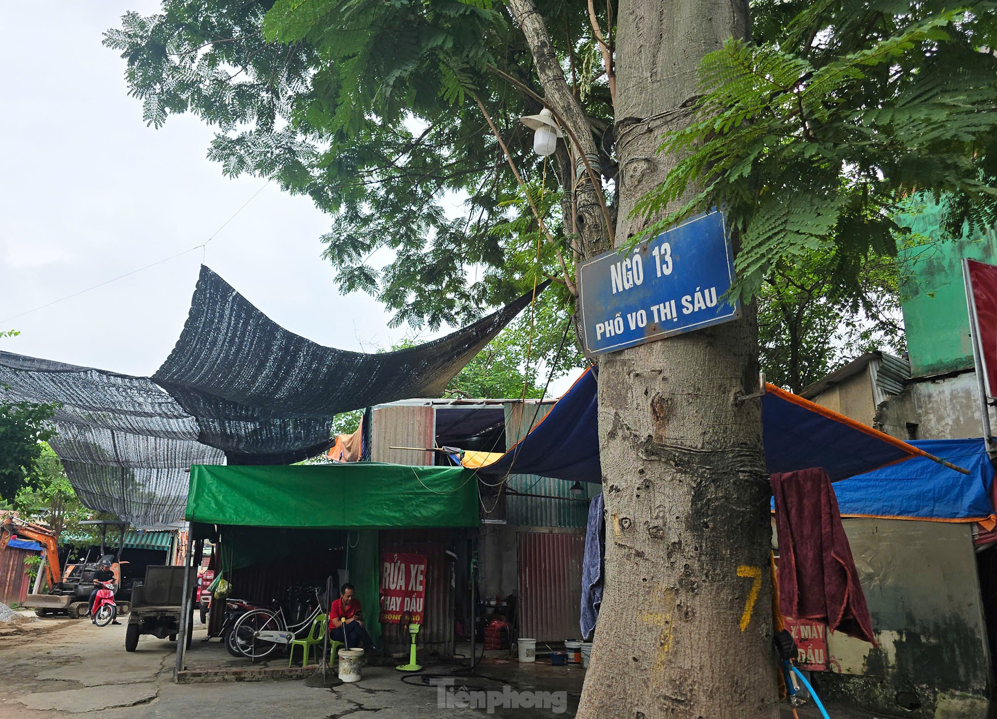Cận cảnh 3.800m2 đất nông nghiệp sắp bị thu hồi để mở rộng công viên Tuổi trẻ Thủ đô- Ảnh 3.
