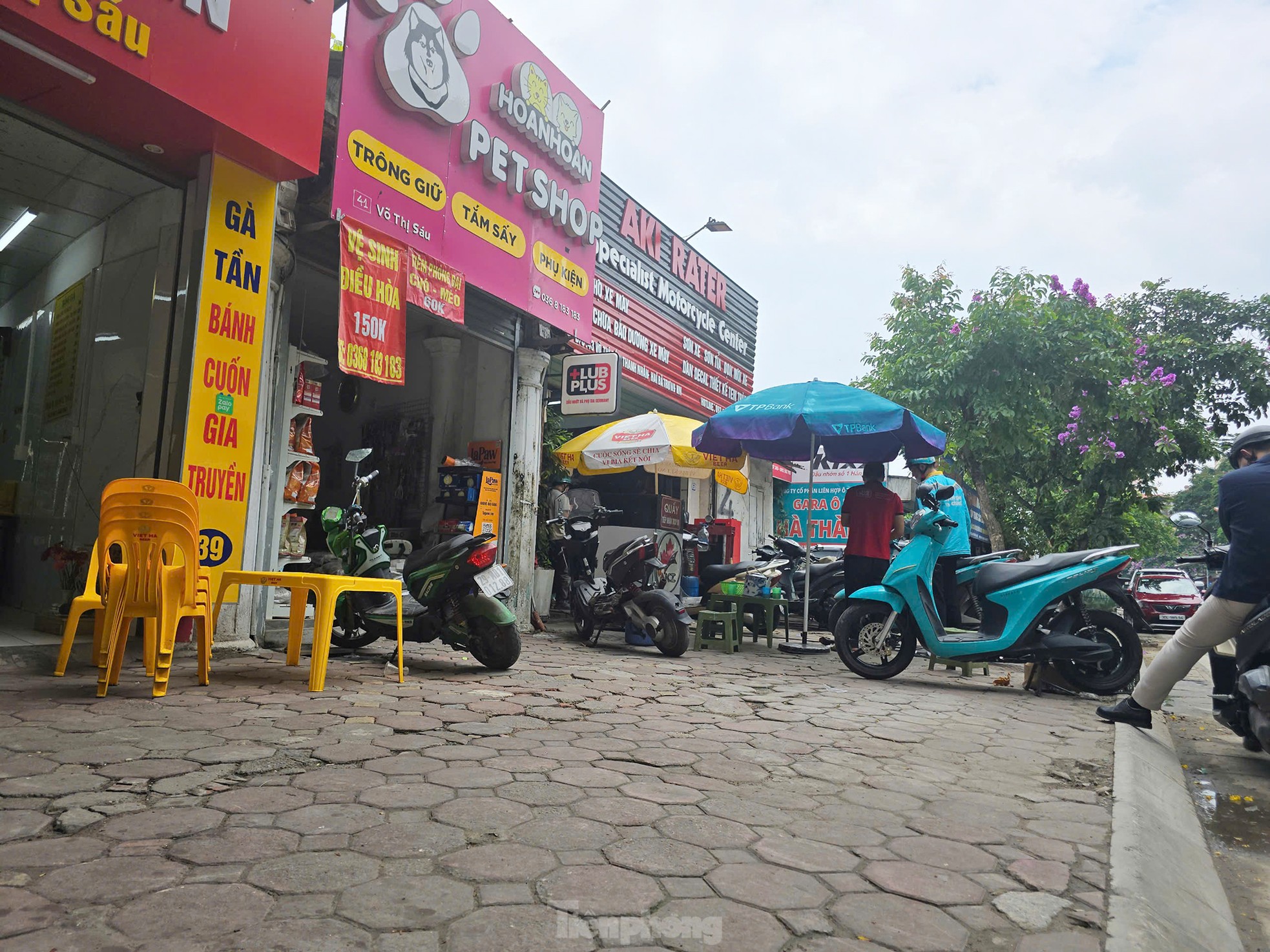 Cận cảnh 3.800m2 đất nông nghiệp sắp bị thu hồi để mở rộng công viên Tuổi trẻ Thủ đô- Ảnh 6.