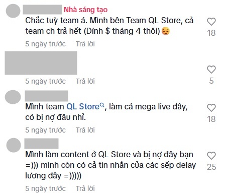 Rộ tin phá sản và nợ lương, tình hình của Quang Linh Store ra sao sau khi “Chủ tịch” bị bắt?- Ảnh 4.