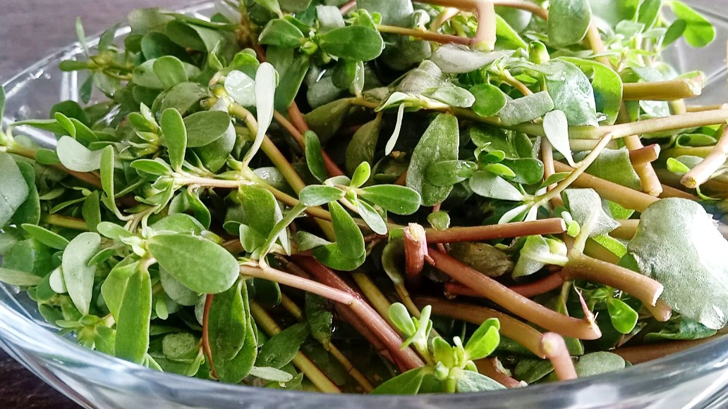 1 loại rau mọc dại ở Việt Nam, người Trung Quốc gọi là “rau trường thọ”: Là “kho” omega 3, lợi không kém thuốc bổ- Ảnh 2.