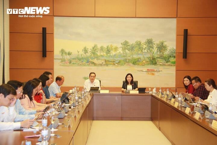 ĐBQH: Cả chợ Ninh Hiệp bán hàng giả, hàng nhái, cơ quan chức năng ở đâu?- Ảnh 2.