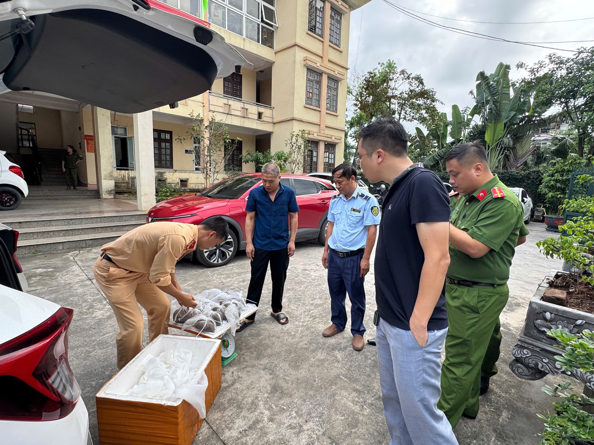 Nóng tại Quảng Ninh: Phát hiện một hộ kinh doanh có hơn 2.000 kg thực phẩm không rõ nguồn gốc, hộ khác có 5,6 triệu con ngao hoa giống không rõ xuất xứ- Ảnh 1.