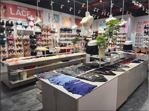 Thương hiệu nội y iBasic Vietnam: Hành trình 35 năm phục vụ từ trái tim đến trái tim người Việt- Ảnh 1.