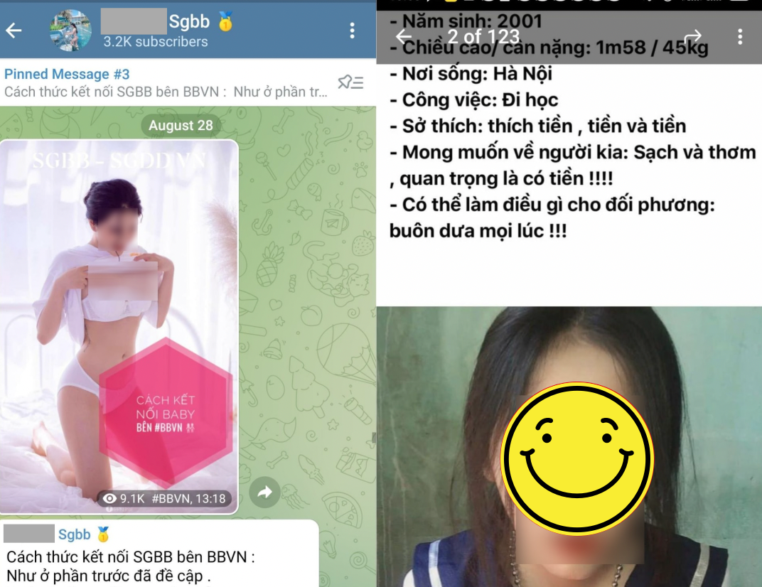 Ớn lạnh với loạt nhóm hội độc hại, đầy rẫy bẫy lừa trên Telegram: Ai cũng có thể trở thành nạn nhân- Ảnh 6.