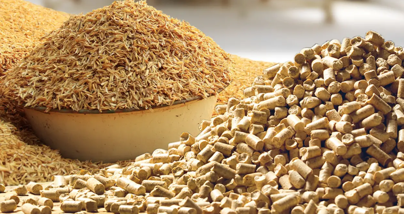 Thứ người Việt từng xem là phế phẩm, nay thành "mỏ vàng" xuất khẩu: Tiềm năng kiếm tỷ USD- Ảnh 1.