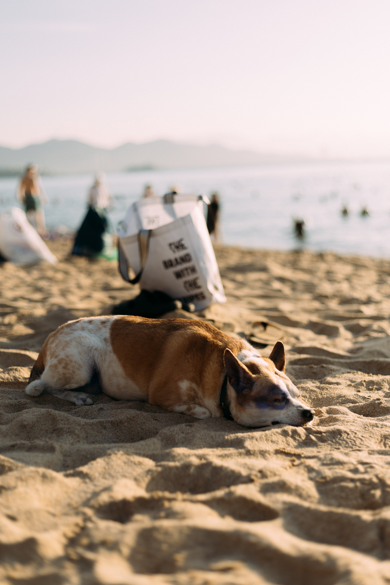 Thành phố đứng đầu bảng 