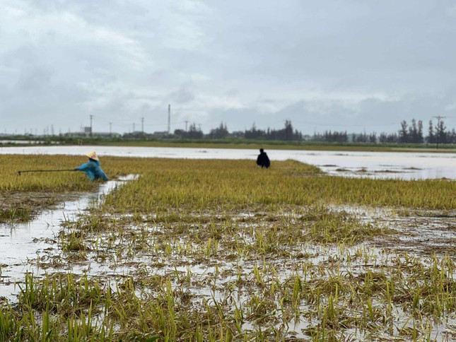 Lũ đến bất ngờ vào mùa hè: 'Chúng tôi mất trắng… rồi'- Ảnh 3.