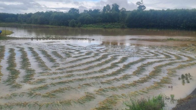 Lũ đến bất ngờ vào mùa hè: 'Chúng tôi mất trắng… rồi'- Ảnh 1.