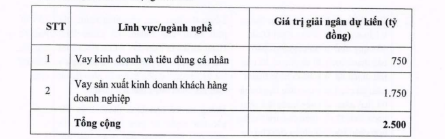 VPBank lên kế hoạch huy động 2.500 tỷ đồng trái phiếu để làm gì?- Ảnh 1.