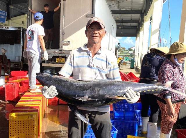 Mặt hàng của Việt Nam được hơn 75 quốc gia lùng mua: Nga tăng cường thu gom- Ảnh 2. Mặt hàng của Việt Nam được hơn 75 quốc gia lùng mua: Nga tăng cường thu gom- Ảnh 2.