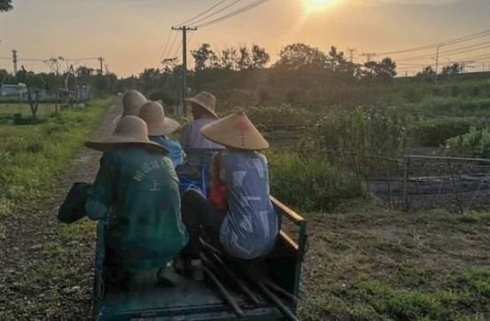 Cử nhân Trung Quốc về quê nuôi lợn, từ bỏ cuộc sống thành thị áp lực: ‘Tôi muốn làm hài lòng bản thân, muốn thử những điều mới mẻ’- Ảnh 3. Cử nhân Trung Quốc về quê nuôi lợn, từ bỏ cuộc sống thành thị áp lực: ‘Tôi muốn làm hài lòng bản thân, muốn thử những điều mới mẻ’- Ảnh 3.