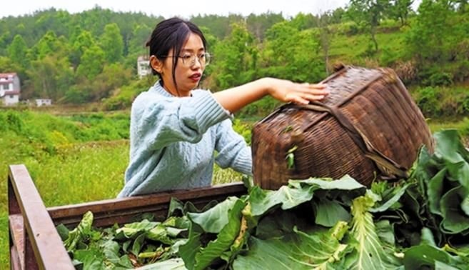 Cử nhân Trung Quốc về quê nuôi lợn, từ bỏ cuộc sống thành thị áp lực: ‘Tôi muốn làm hài lòng bản thân, muốn thử những điều mới mẻ’- Ảnh 1. Cử nhân Trung Quốc về quê nuôi lợn, từ bỏ cuộc sống thành thị áp lực: ‘Tôi muốn làm hài lòng bản thân, muốn thử những điều mới mẻ’- Ảnh 1.