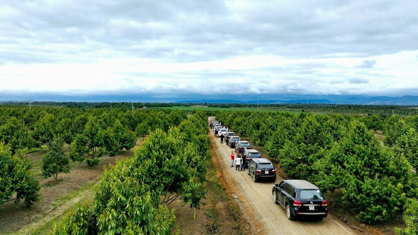 Sở hữu nông trại sầu riêng 2.000ha lớn nhất Đông Nam Á, Hoàng Anh Gia Lai của bầu Đức đón nhận tin vui từ Thủ tướng- Ảnh 2.