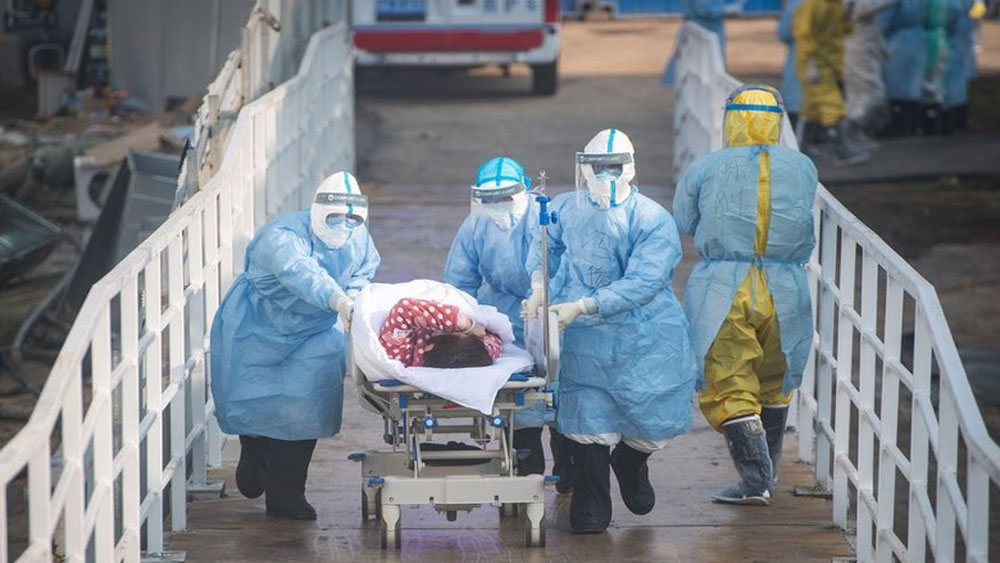 Bác bỏ thuyết "rò rỉ virus corona từ phòng thí nghiệm", Covid-19 không bắt nguồn từ Vũ Hán?- Ảnh 3.