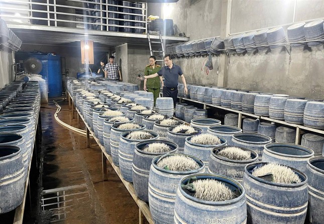 Lạnh người với quy trình sản xuất hàng giá đỗ ngậm hóa chất độc hại- Ảnh 2. Lạnh người với quy trình sản xuất hàng giá đỗ ngậm hóa chất độc hại- Ảnh 2.