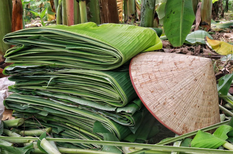 Loại lá bị bỏ đi là “vàng xanh” từng giúp Việt Nam thu về hơn 30 tỷ đồng/năm nhờ xuất khẩu: Giá cao ngất ở Nhật và Hàn, là “thuốc” kích thích mọc tóc rất tốt- Ảnh 1.