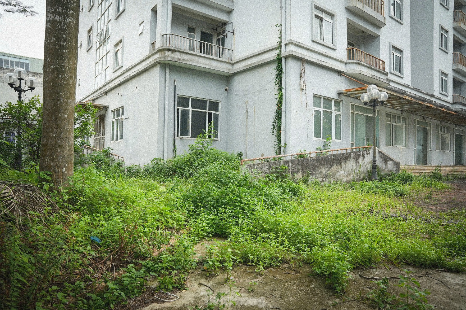 Cảnh hoang tàn, lãng phí tại khu tái định cư bị 'bỏ mặc' giữa Thủ đô- Ảnh 5. Cảnh hoang tàn, lãng phí tại khu tái định cư bị 'bỏ mặc' giữa Thủ đô- Ảnh 5.