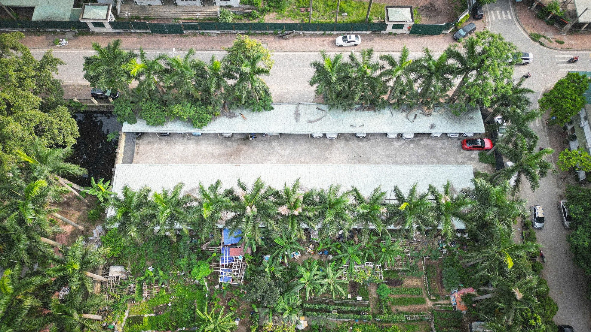 Cảnh hoang tàn, lãng phí tại khu tái định cư bị 'bỏ mặc' giữa Thủ đô- Ảnh 12. Cảnh hoang tàn, lãng phí tại khu tái định cư bị 'bỏ mặc' giữa Thủ đô- Ảnh 12.