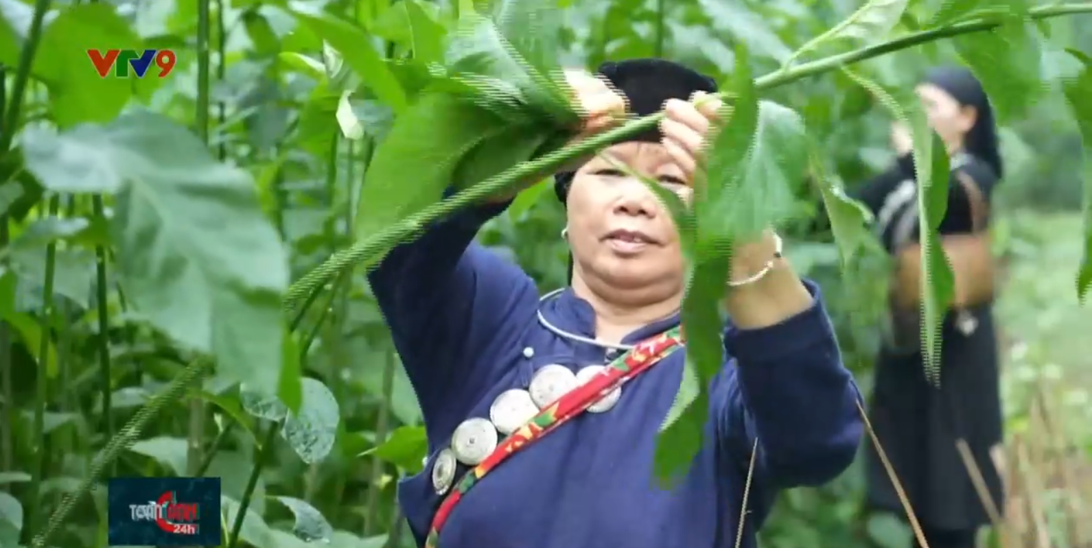 Ngôi làng kỳ lạ nhất miền Bắc: 200 người "ăn chung nồi, tiền chung túi", khách muốn vào phải rửa tay bằng nước "giếng thần"- Ảnh 3.