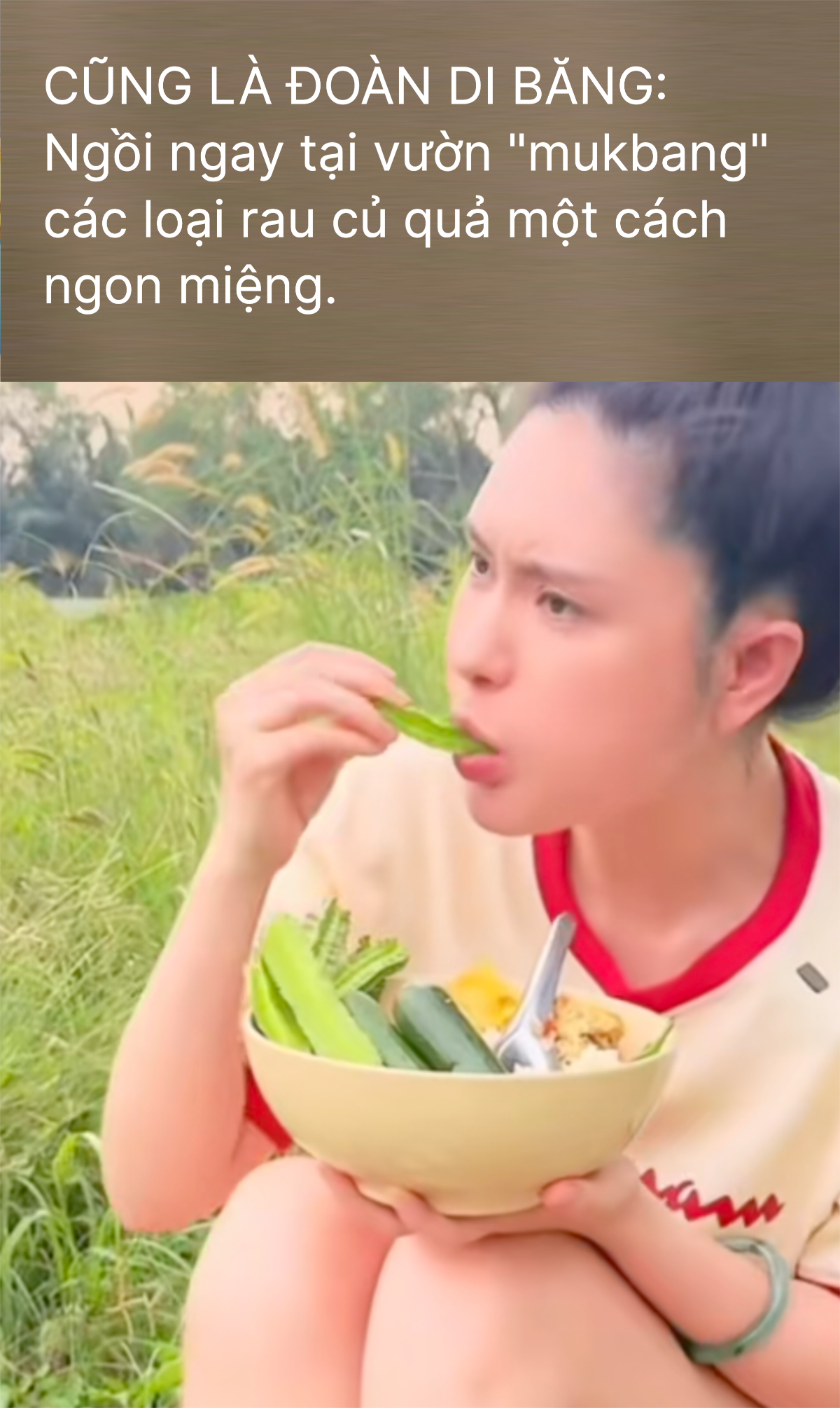 Loạt chi tiết chống lại Đoàn Di Băng- Ảnh 2. Loạt chi tiết chống lại Đoàn Di Băng- Ảnh 2.