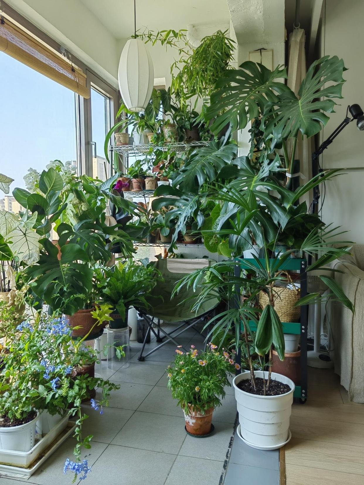 Đặt 4 thứ này ở ban công khác nào "đuổi khéo" Thần Tài, bảo sao làm mãi chẳng giàu lên - Ảnh 8.