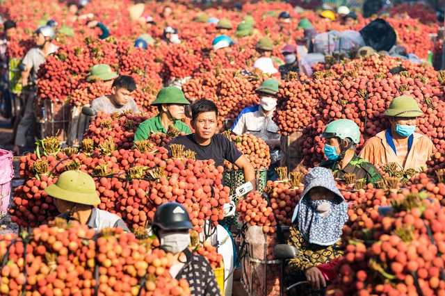Một đặc sản của Việt Nam tự tin "tốt nhất từ trước đến nay", rộng đường "bay" khắp toàn cầu- Ảnh 3.