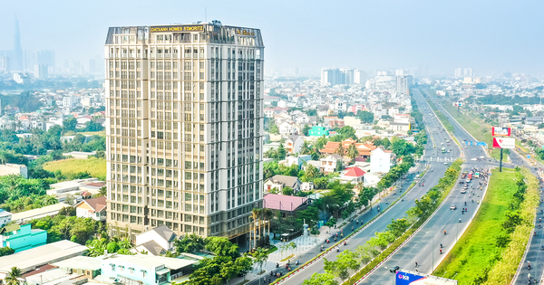 Đất Xanh tăng tích lũy tiền mặt gấp 4 lần, gần 1.000 tỷ đồng trái phiếu đáo hạn trong năm 2025- Ảnh 1.