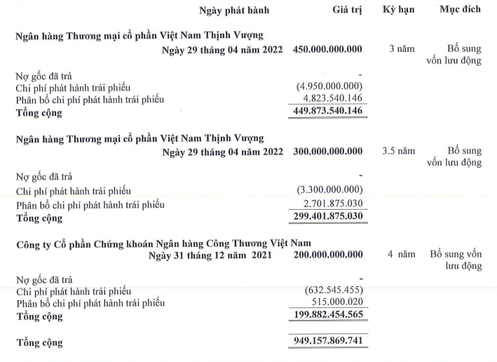 Đất Xanh tăng tích lũy tiền mặt gấp 4 lần, gần 1.000 tỷ đồng trái phiếu đáo hạn trong năm 2025- Ảnh 2.