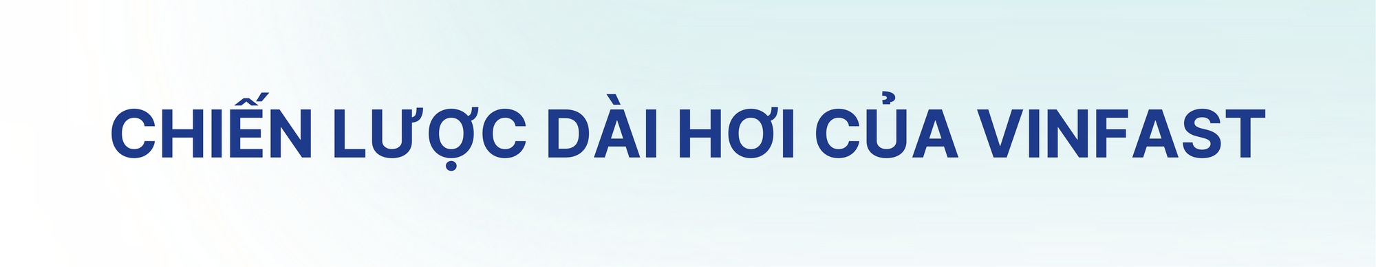 'Cú đấm’ ở phân khúc xe dịch vụ và cách VinFast xây chắc vị thế số 1 thị trường- Ảnh 6. 'Cú đấm’ ở phân khúc xe dịch vụ và cách VinFast xây chắc vị thế số 1 thị trường- Ảnh 6.