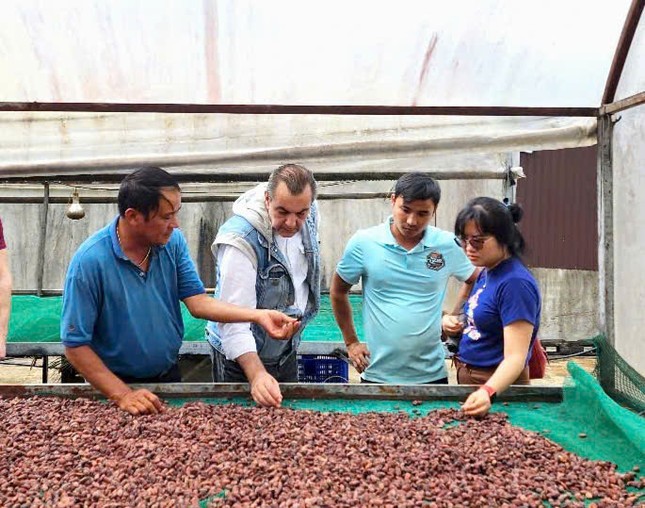 Ca cao khan hiếm giữa ‘cơn sốt’ giá kỷ lục- Ảnh 2.