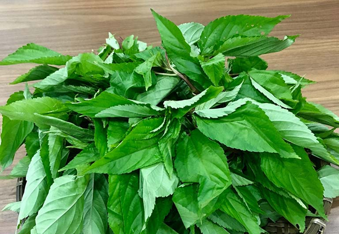 2 loại rau không lo "ngậm" thuốc trừ sâu, loại đầu bảng người Việt ít ai hay- Ảnh 1.