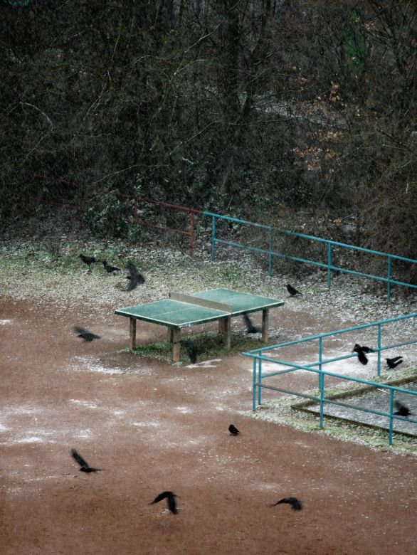 Nhiếp ảnh gia dành 4 năm để đứng bên cửa sổ chụp đúng một chiếc bàn bóng: Những gì ghi lại được là cả cuộc đời- Ảnh 11.