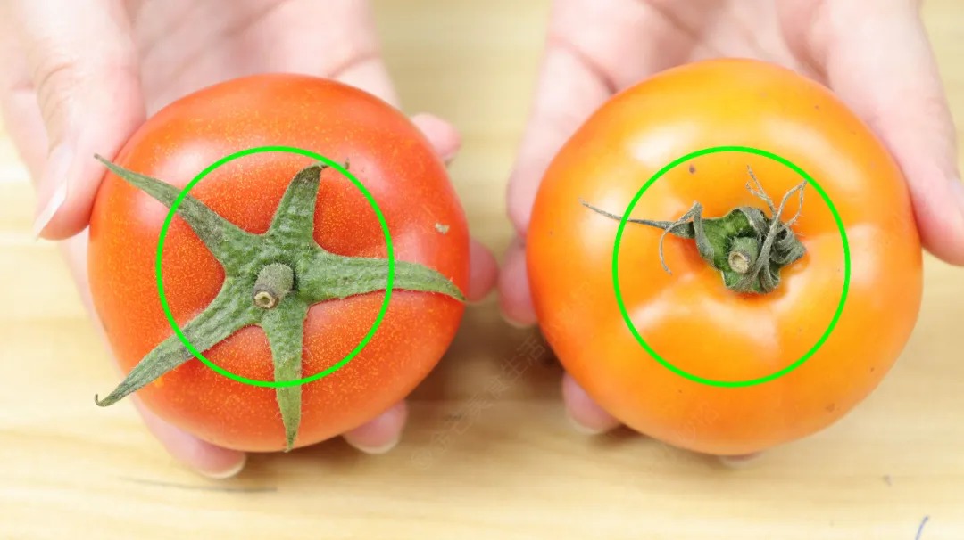 4 loại cà chua độc hại: Loại dễ gây ung thư, loại "tra tấn" dạ dày, chợ bán rẻ mấy cũng quay xe - Ảnh 5.