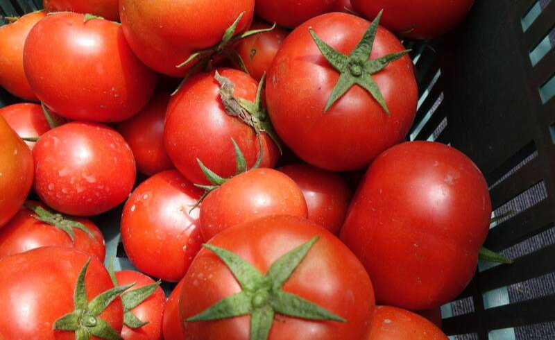 4 loại cà chua độc hại: Loại dễ gây ung thư, loại "tra tấn" dạ dày, chợ bán rẻ mấy cũng quay xe - Ảnh 3.