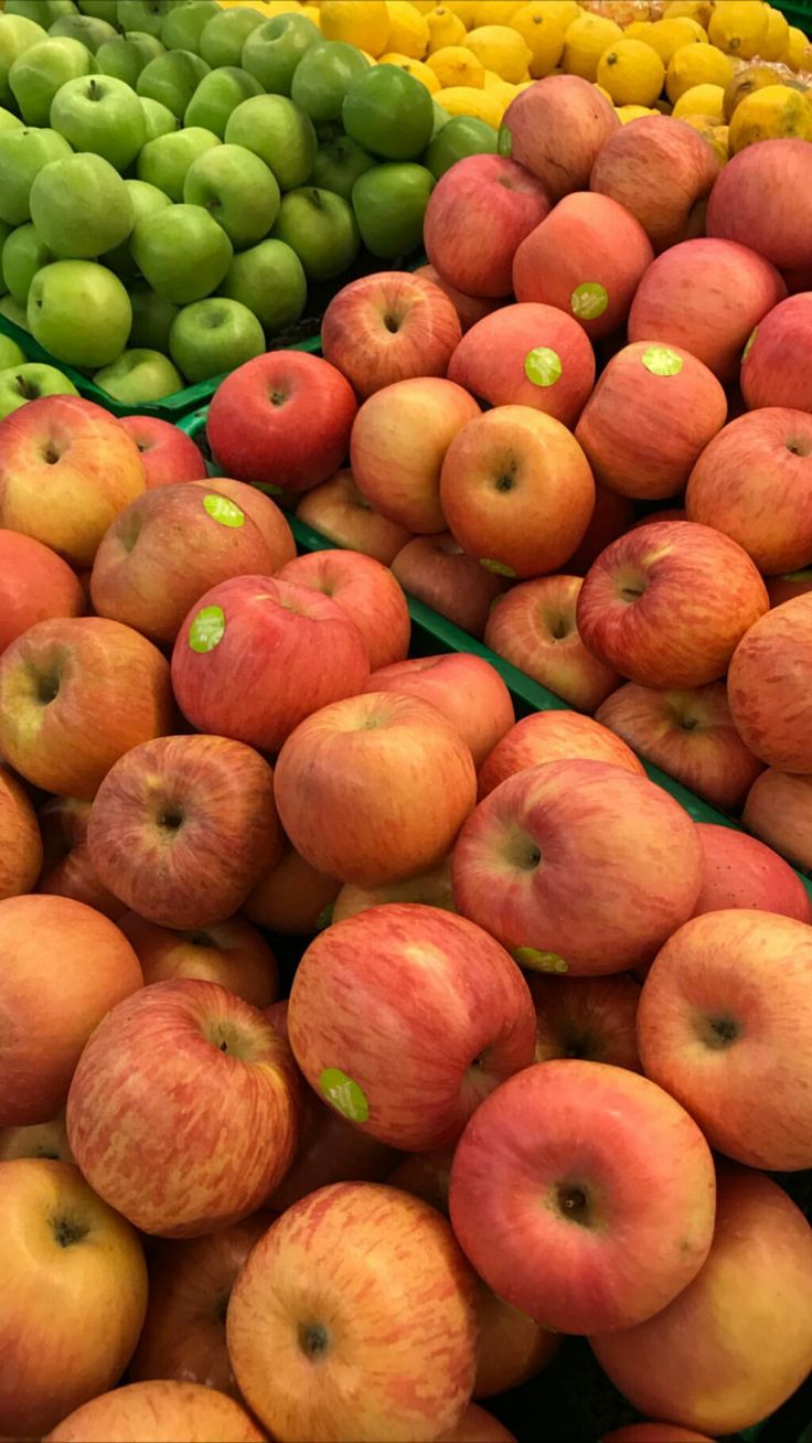 Đệ nhất phu nhân Tổng thống Pháp U75 vẫn trẻ trung: Nhìn thực đơn toàn món tăng collagen tự nhiên, Việt Nam sẵn có- Ảnh 7. Đệ nhất phu nhân Tổng thống Pháp U75 vẫn trẻ trung: Nhìn thực đơn toàn món tăng collagen tự nhiên, Việt Nam sẵn có- Ảnh 7.