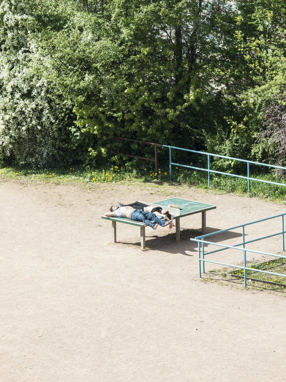 Nhiếp ảnh gia dành 4 năm để đứng bên cửa sổ chụp đúng một chiếc bàn bóng: Những gì ghi lại được là cả cuộc đời- Ảnh 12.