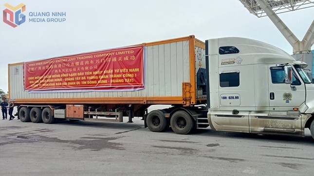 Sau 2 ngày thương thảo, sầu riêng đông lạnh Việt Nam thẳng tiến Trung Quốc